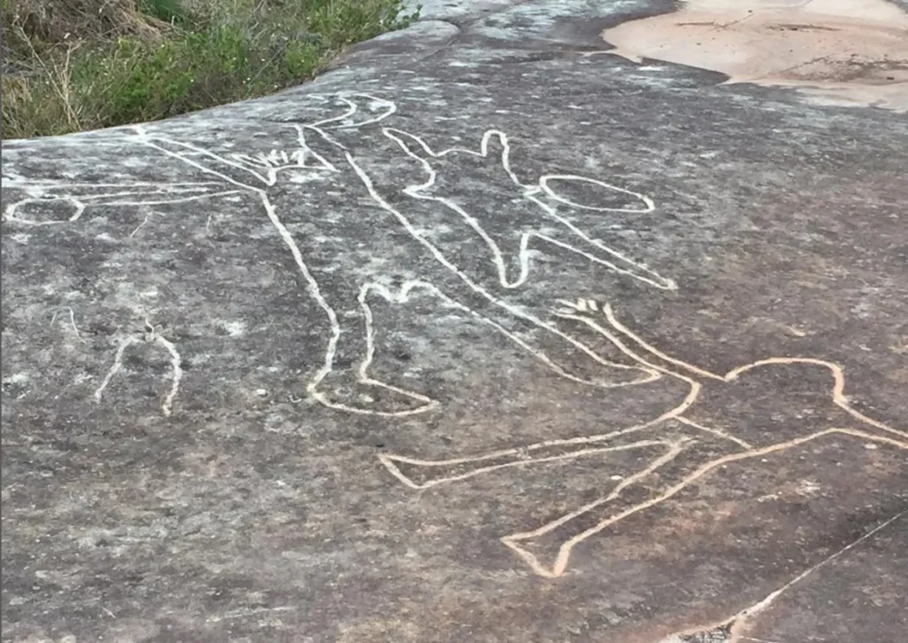 Ku-ring-gai Chase National Park