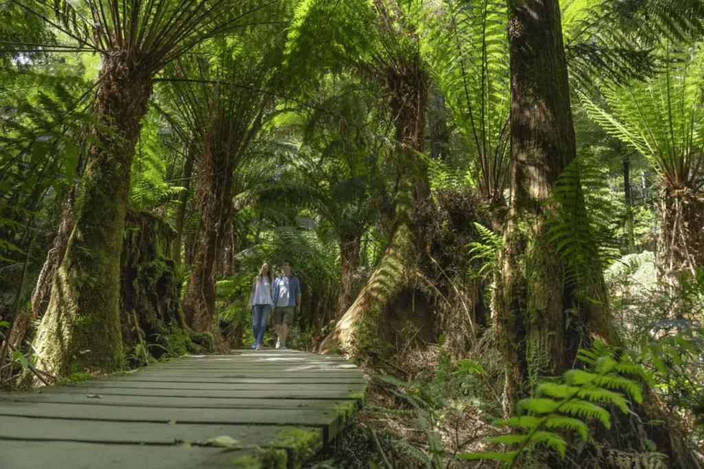 Great Otway National Park