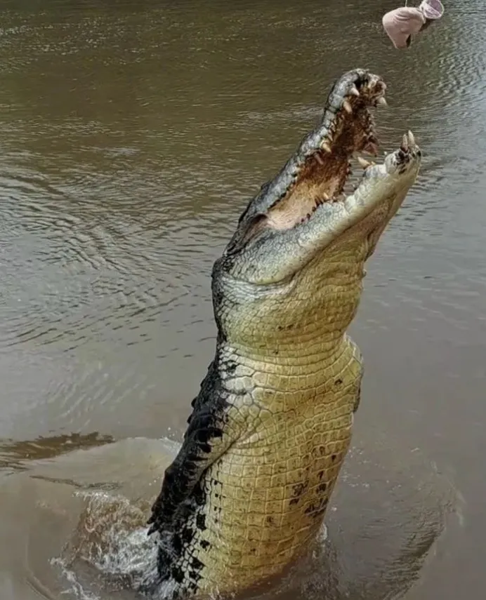 Positioning and Safety