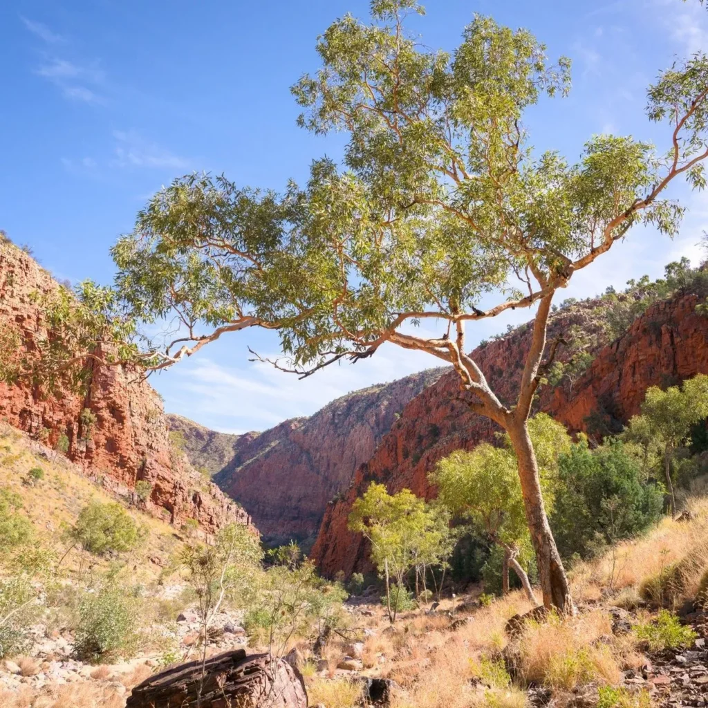 Is the Larapinta Trail Difficult