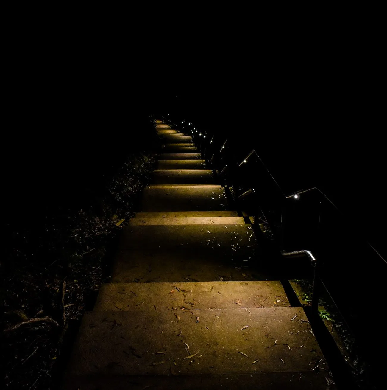 Blue Mountains tours, Katoomba Falls Night-lit Walk