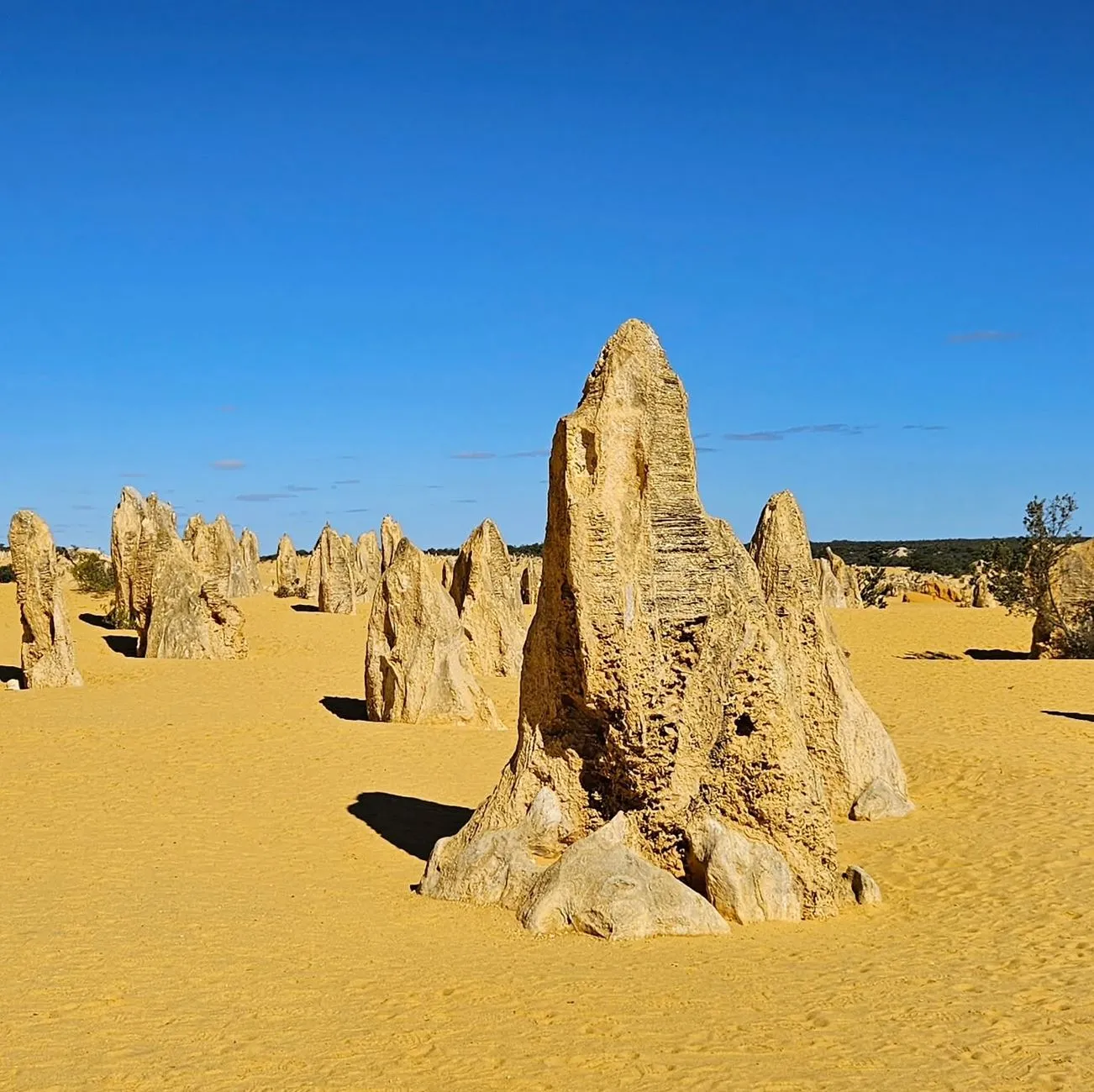 Getting There and Staying Nearby