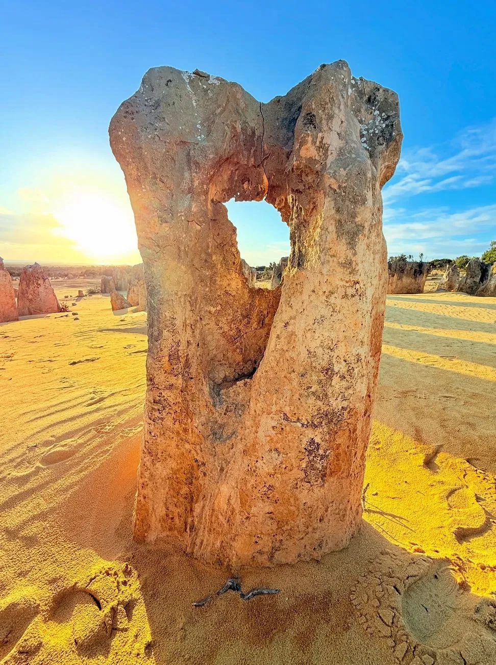 Is Pinnacles Open 24 Hours