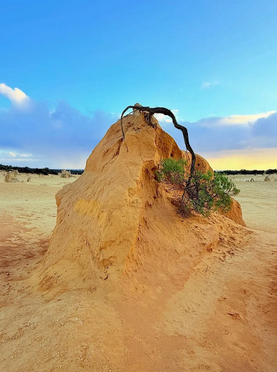 Practical Tips for After-Hours Visits