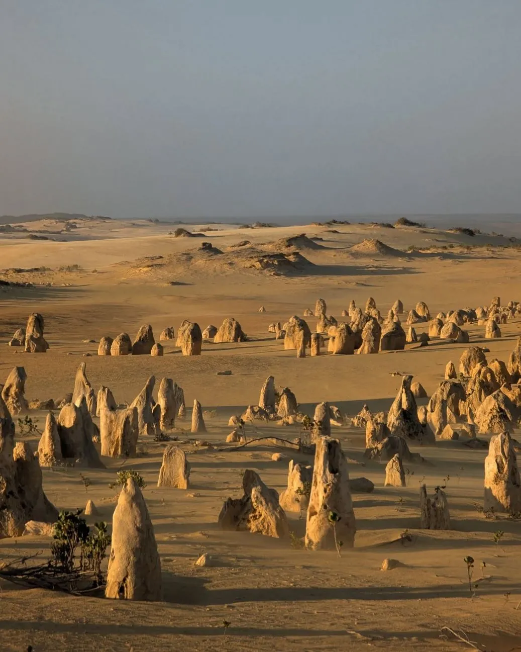 Seasonal Travel Tips