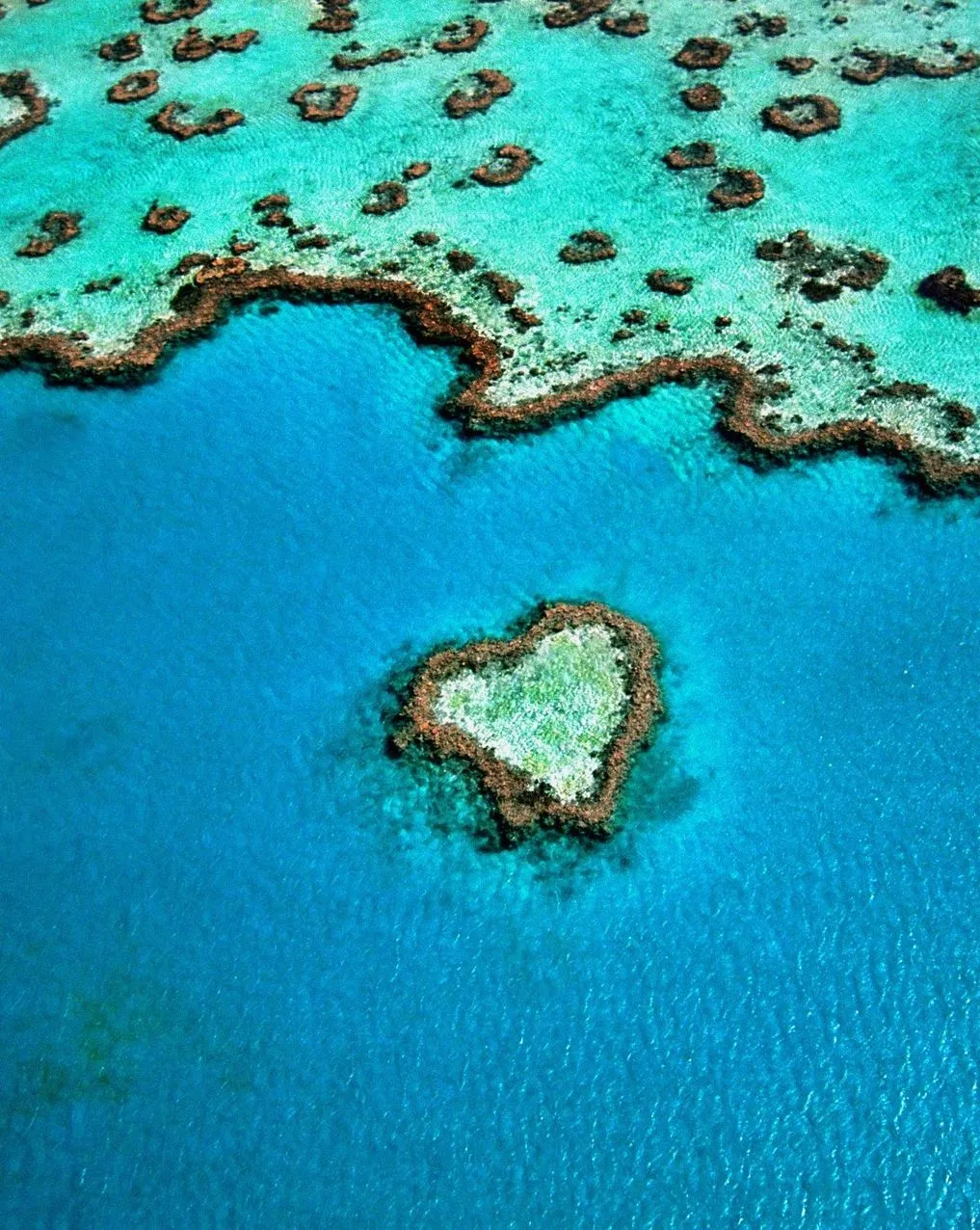 What City Is the Great Barrier Reef In