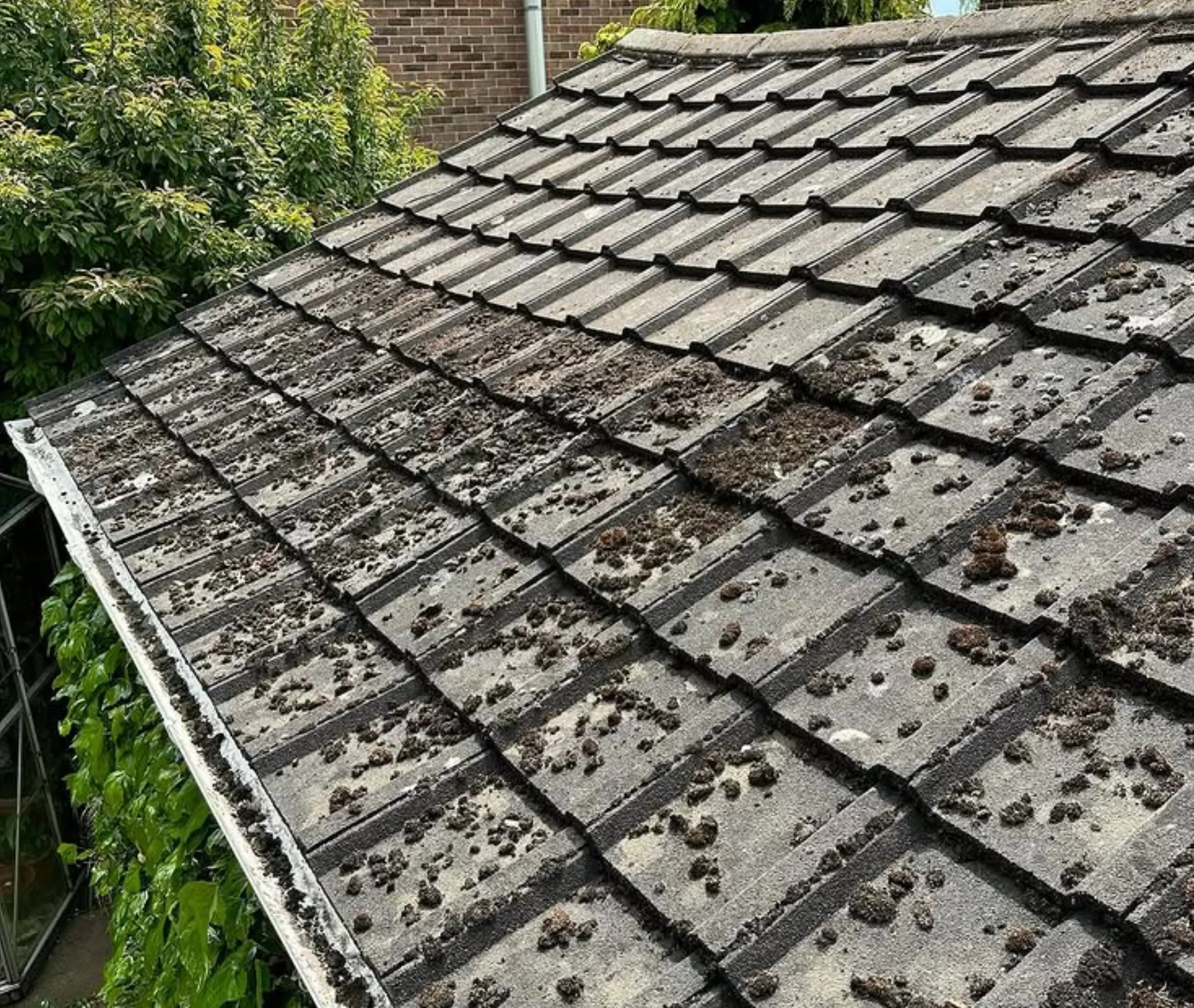 common roof problems australia