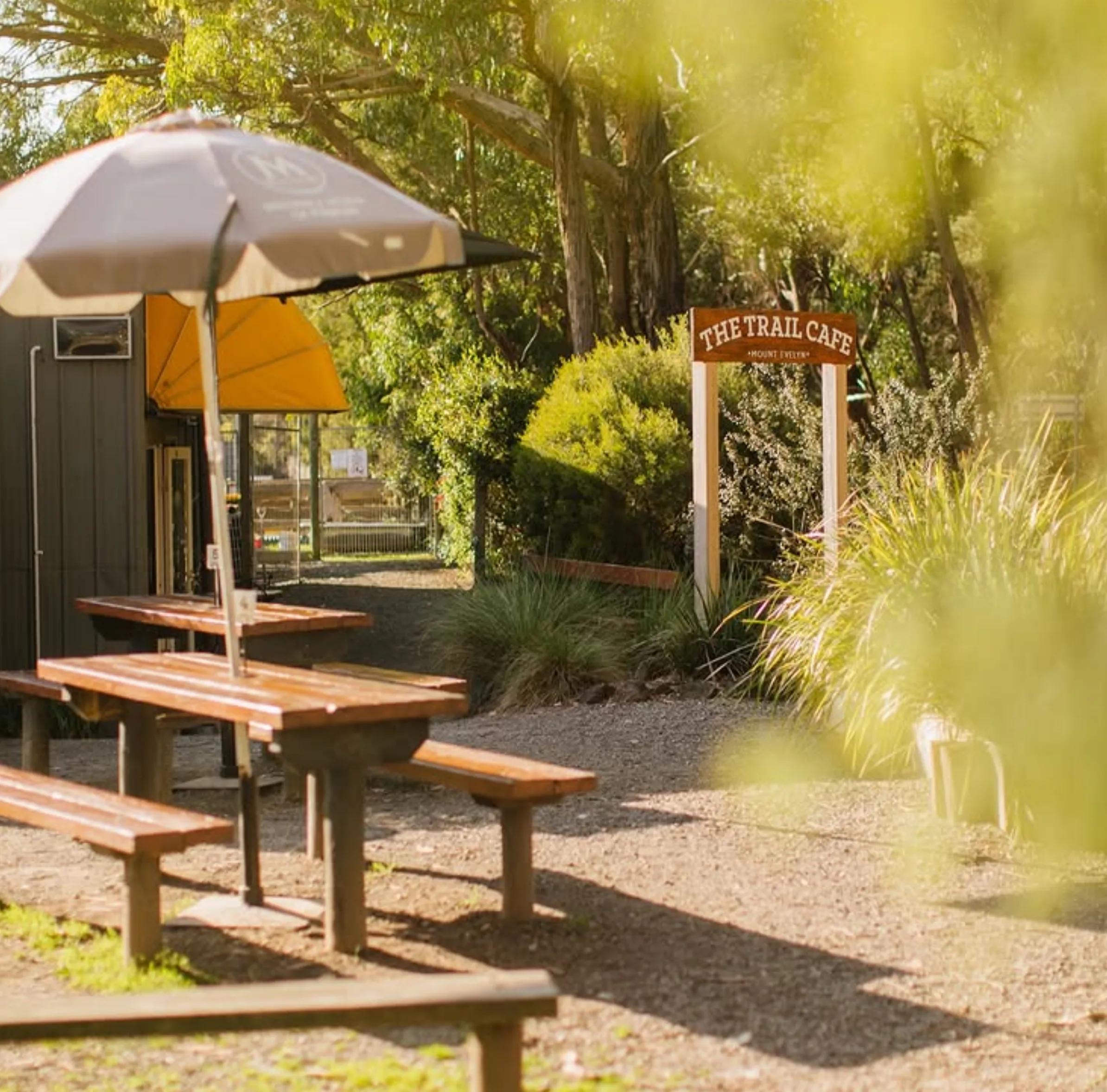 Puffing Billy and Yarra Valley day trip