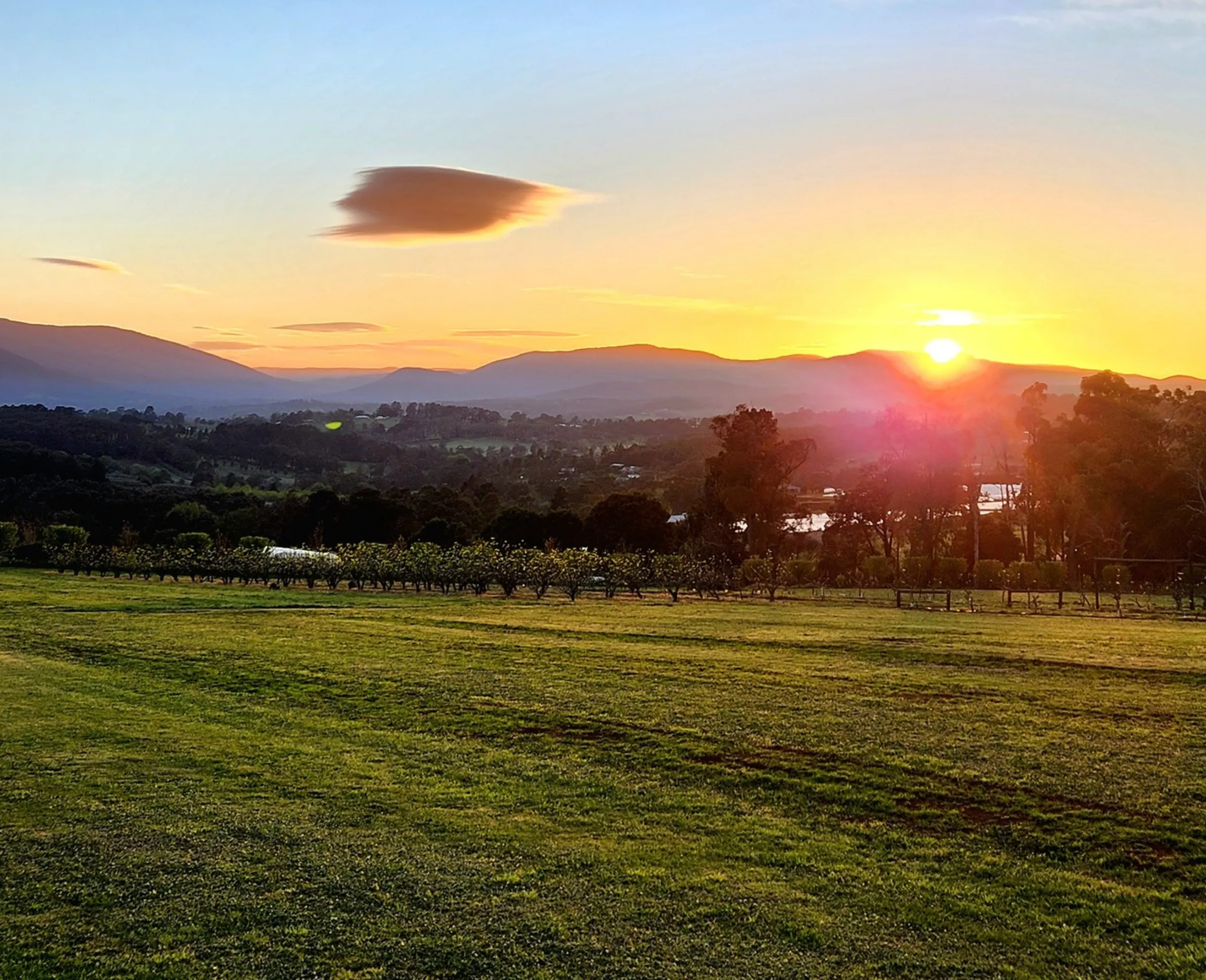 Yarra Valley restaurants open after 8pm
