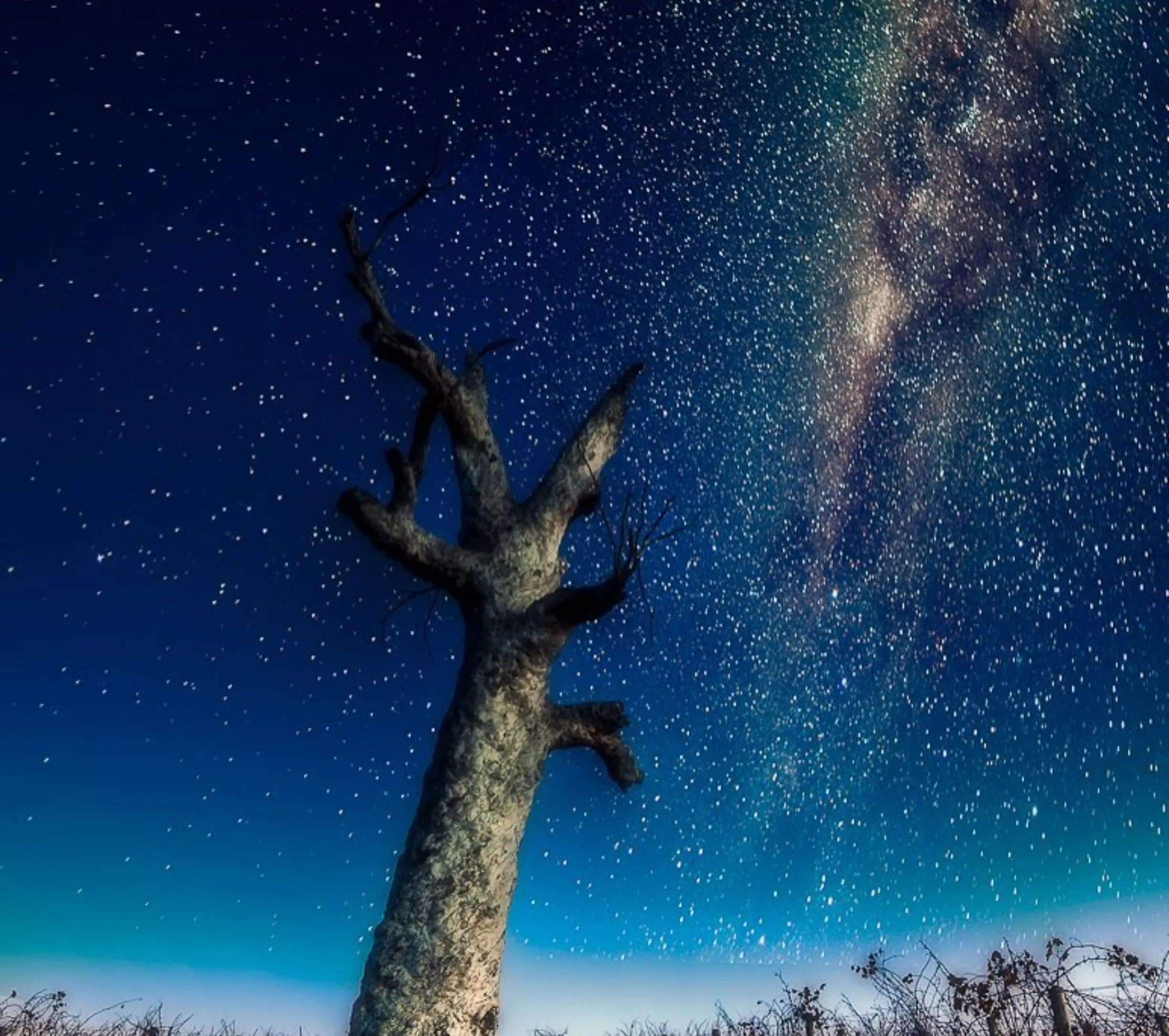 where to eat dinner in Healesville at night