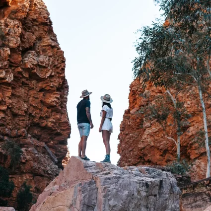 Day Trips from Alice Springs
