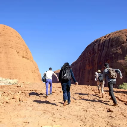 alice springs to uluru day tour
