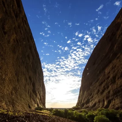 alice springs uluru tour