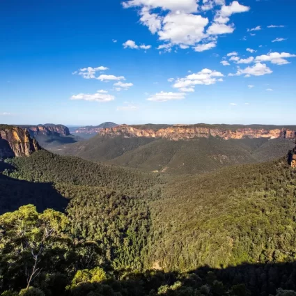 blue mountain package tour