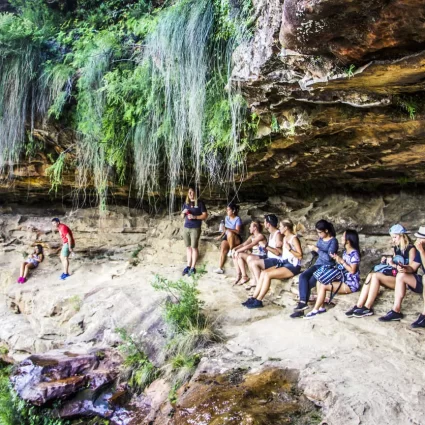 blue mountains sightseeing tours