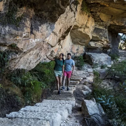 blue mountains trip from sydney