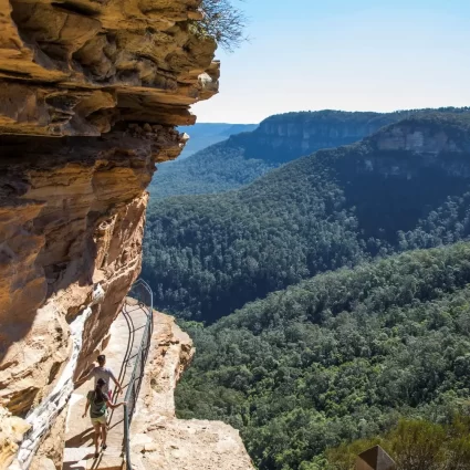 blue mountains trips