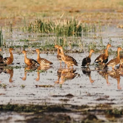 darwin to kakadu tours