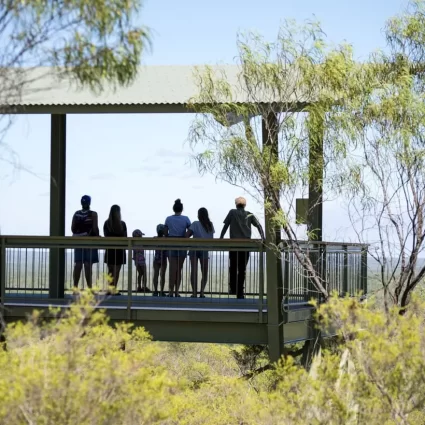 darwin to litchfield day trip