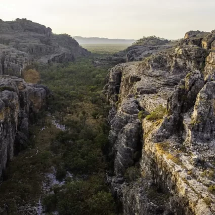 day tours to kakadu from darwin