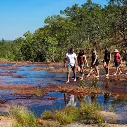 day tours to litchfield national park from darwin