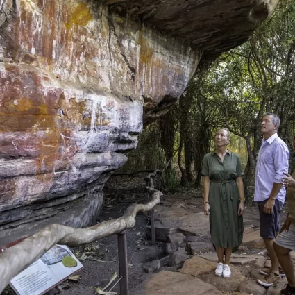 day trips darwin to kakadu