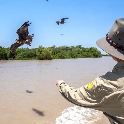 jumping crocodile darwin