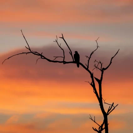 kakadu national park day tour