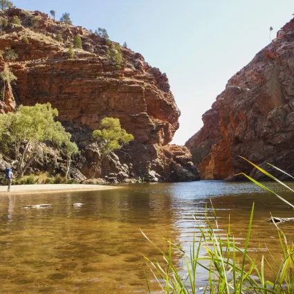 larapinta guided walks