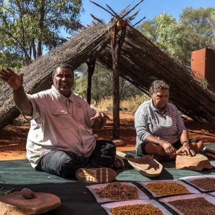 larapinta trail tours