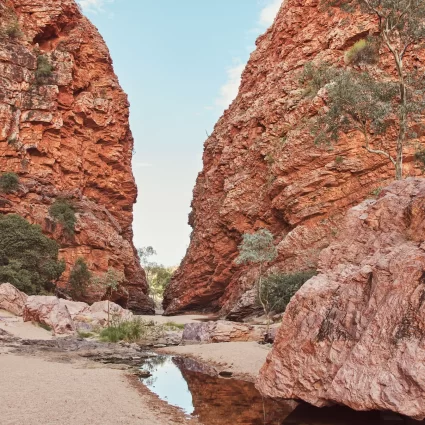 larapinta walking tours