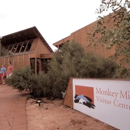 monkey mia tours