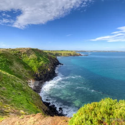 phillip island day tour from melbourne
