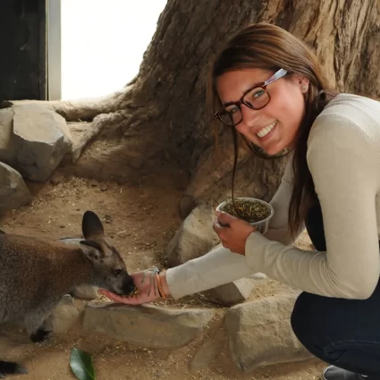 phillip island penguin parade