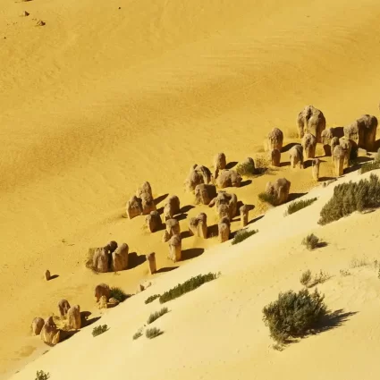 pinnacle lookout orange