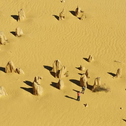 pinnacles tour from perth