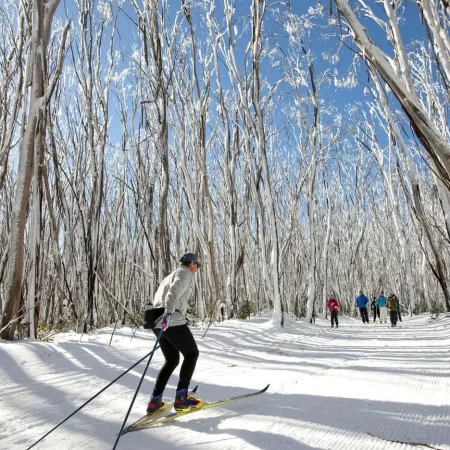 snowy mountains day tours