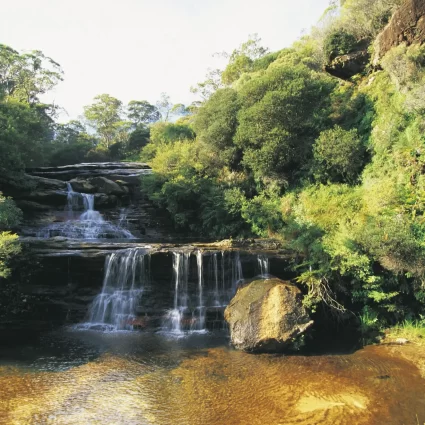 wentworth falls blue mountains